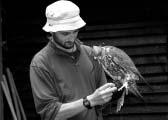 ZOO má nové druhy dravcû Dva zbrusu nové druhy dravcû získala do sv ch venkovních expozic liberecká zoologická zahrada.