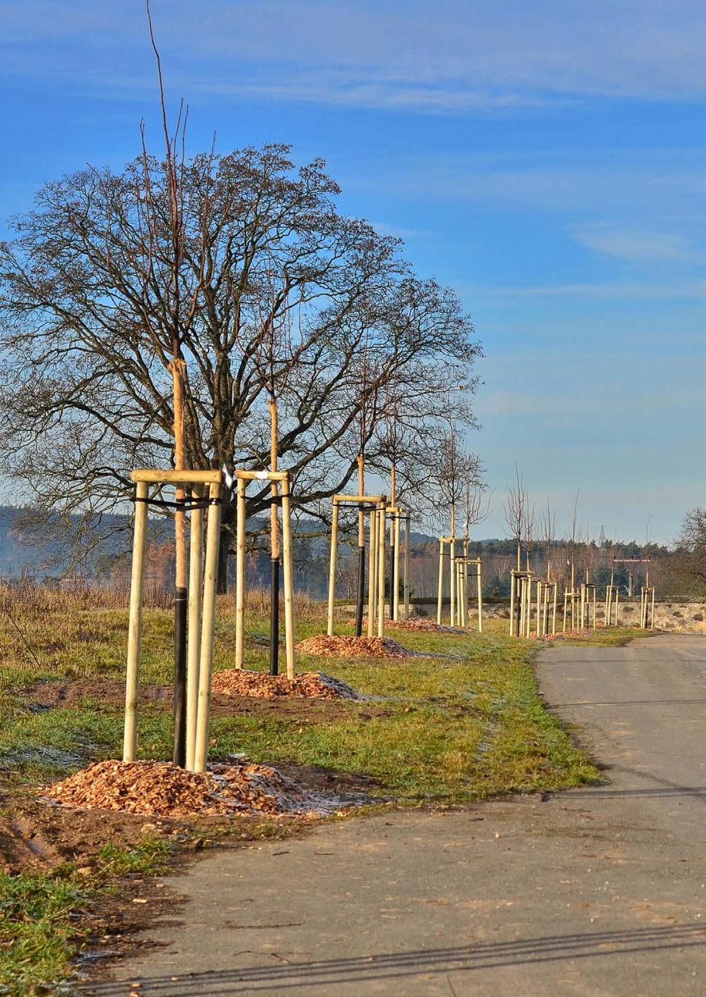 Tisovský zpravodaj