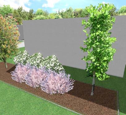Na přiložených vizualizacích projektu můžete vidět, jak bude veřejná zeleň vypadat. Akce bude realizována za finanční podpory Státního fondu životního prostředí.