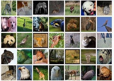 Handling Large Sets of Images Use imagedatastore easily read and process large sets of images Access data stored in local files networked storage