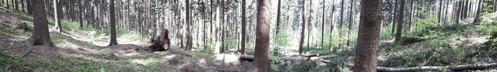 pořizovaných z jednoho bodu je optické sledování vývoje lesních porostů v