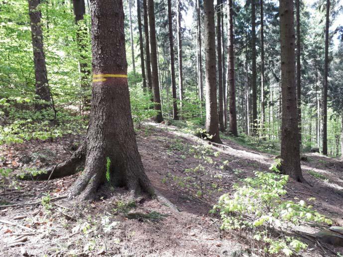 Fotobod fixovaný