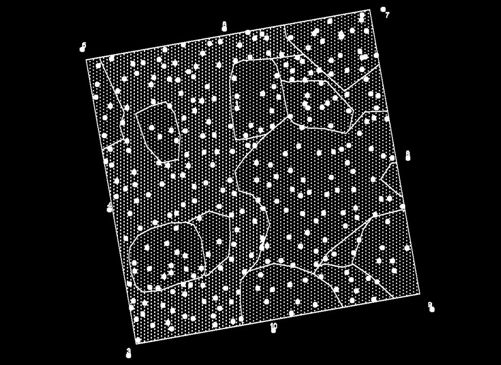 Mapa demonstrační plochy s pozicemi zaujatých stromů Legenda: 2.3 