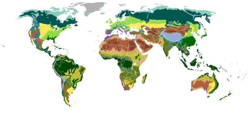 Vegetační pásy mapa biomů polární oblasti - tundra - tajga (boreál) - lesy mírného pásu