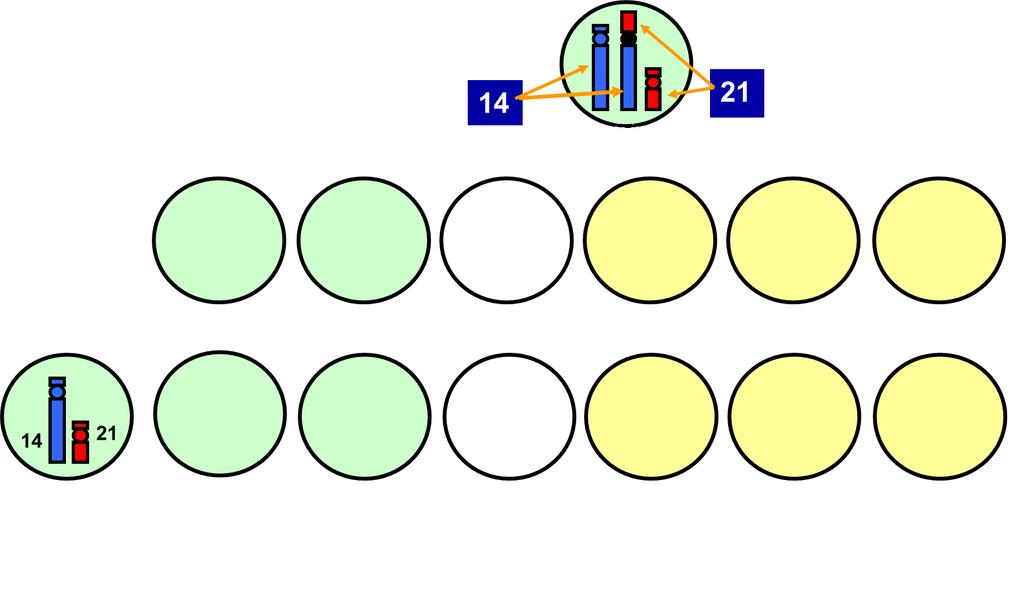 TÉMA 2. Hodnocení karyotypu s aberací a) úkol 7/str. 41 Kot (karyotyp 08) Protokoly z praktických cvičení z Biologie a genetiky 2. semestr, 1. výukový týden OPAKOVÁNÍ str.