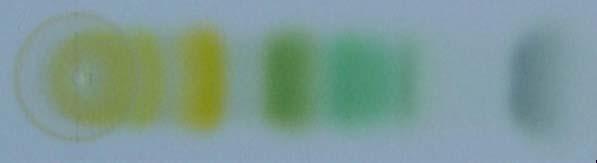 Chromatografie Chromatografie (χρωμα bara; oré oužita k ělení rostlinných bari je searační metoa založená na mnohonásobném ustaoání ronoáh mezi ěma fázemi, stacionární fází a mobilní fází, níž je