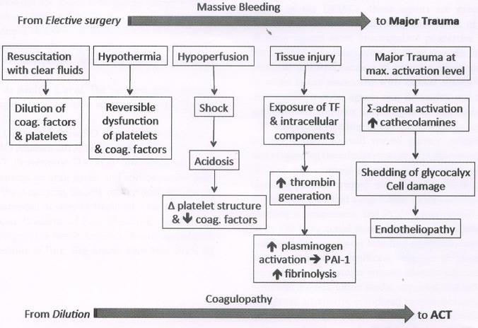 Massive Bleeding and Coagulopathy Where Are We and Where Should We Go?