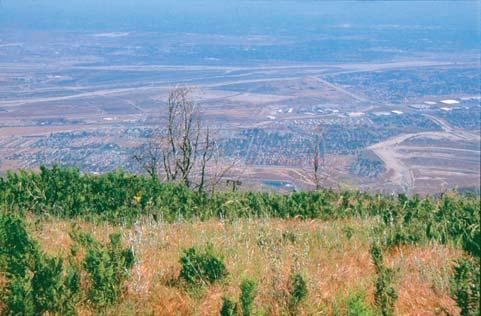 Časté subsidence vzduchu, dlouhá období bezvětří, vysoké teploty a nízké inverze vytvářejí spolu s intenzivním slunečním zářením vynikající podmínky pro kumulaci emisí prekurzorů, vzniku ozonu a