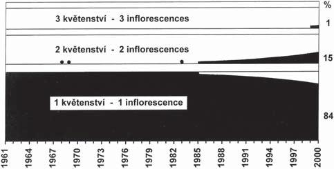 Až v roce 2000 se v populaci sněženky předjarní začali objevovat jedinci se dvěma květy a jejich početní zastoupení bylo 1 2 % (obr. 8).