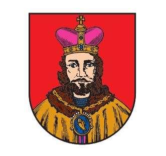STRATEGIE ROZVOJE SPORTU MĚSTO MILEVSKO Projednáno radou města Milevska 27.6.