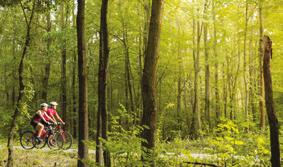 kraj poskytl na výstavbu cyklostezek 15 mil. Kč a bylo vybudováno 1 km cyklostezek. Olomoucký kraj financuje mimo jiné také výstavbu cyklostezek a cyklopruhů, které slouží všem obyvatelům kraje.