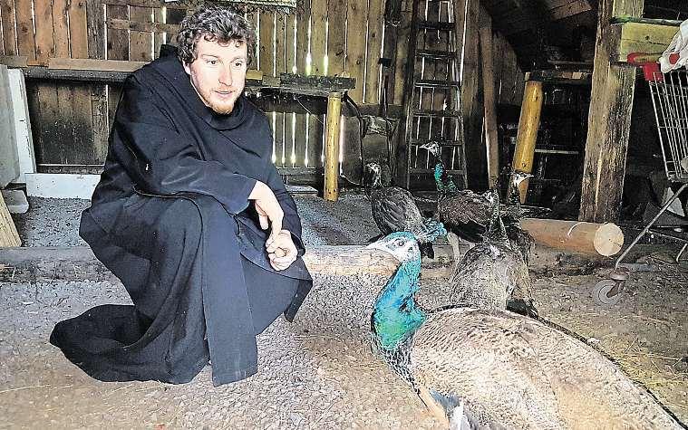 16 11. května 2018 Česká republika Páv od mnichůjepryč, další ve větvích stromů Kolem třetího roku života mají první snůšku. Za tři léta tak mohou být pávátka.