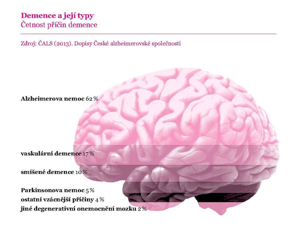 Dělení podle MKN Demence u Alzheimerovy nemoci Vaskulární demence (vaskulární, multiinfarktová, subkortikální vaskulární atp.