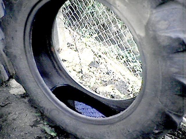 proti komárům Vyprazdňovat nádoby s tekutinami na týdenní bázi * Breeding sites: plants, pools, water-filled buckets, used tires, empty oil