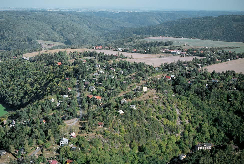 Okres Kladno bikov ch doubrav na mûlk ch minerálnû chud ch podkladech, zejména kfiemencích. Buãiny se pûvodnû uplatnily ve vût í mífie jen na hranici s CHKO Kfiivoklátsko.