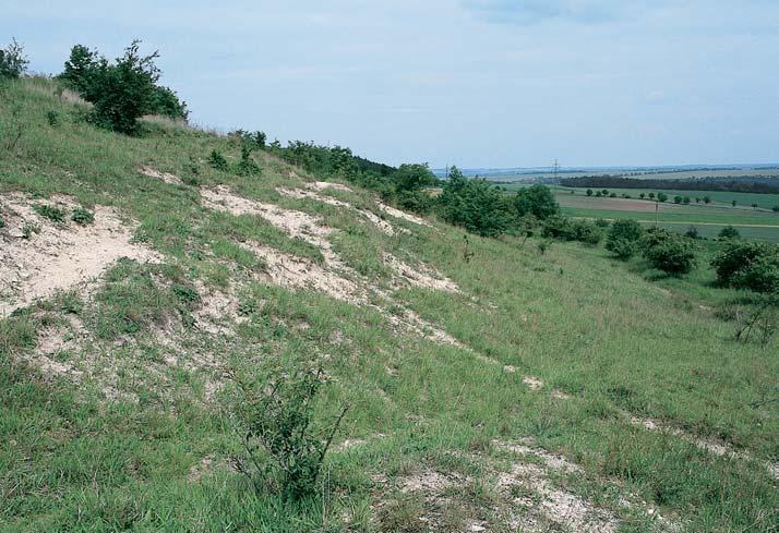 Okres Kladno Hradi tû Strmá stráà na jiïním svahu kóty Hradi tû (96,9 m n. m.),,5 km v chodojihov chodnû od Dfiínova.