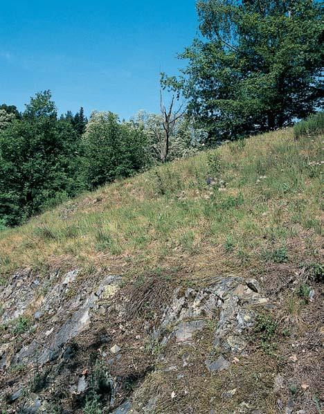 Stfiední âechy 3 GEOLOGIE Území pfiírodní památky tvofií skalnat srázn svah s v chozy prekambrick ch (neoproterozoikum) bfiidlic na ostrohu nad soutokem Kaãáku (Lodûnice) a âerného potoka.