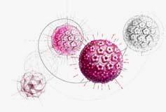 4. Lidský papilloma virus Na světě je známo více než 200 typů lidských papilloma virů (HPV). Necelá pětina z nich je přenášena pohlavním stykem.