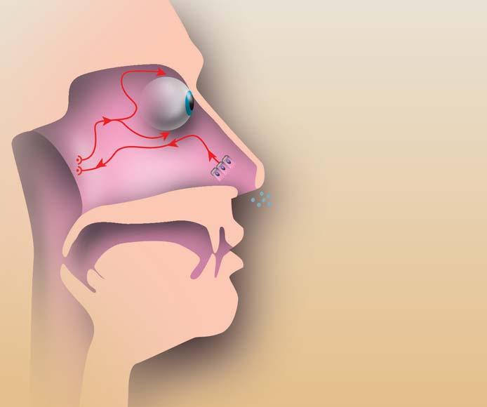 Přehledy-názory-diskuse nocen i vliv léãby na kvalitu Ïivota pacientû s pouïitím standardizovaného dotazníku RQLQ (Rhinoconjunctivitis Quality of Life Questionnaire).