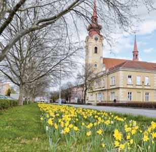Podle informací Večerníku nyní konšelé zkoumají záznam z jednání, a pokud se potvrdí, že architekt Fröml tato slova skutečně použil, budou uvažovat o trestním oznámení.