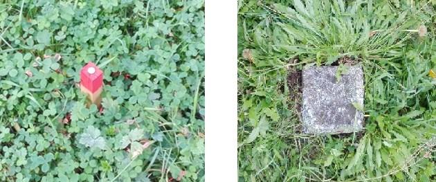 Tíhové bodové pole: Základní tíhové bodové pole o absolutní tíhové body o body České gravimetrické sítě nultého a I. a II.