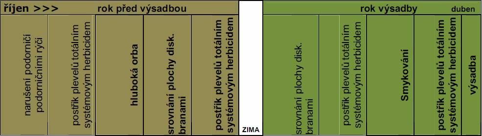 Obr.1. Schéma přípravy pozemku (Hanzák a Potůček, 2010) 3.2.2.2 Výsadba Vysazování řízků lze provádět buď ručně, nebo pomocí sázecího stroje a to nejčastěji od poloviny března do konce dubna.