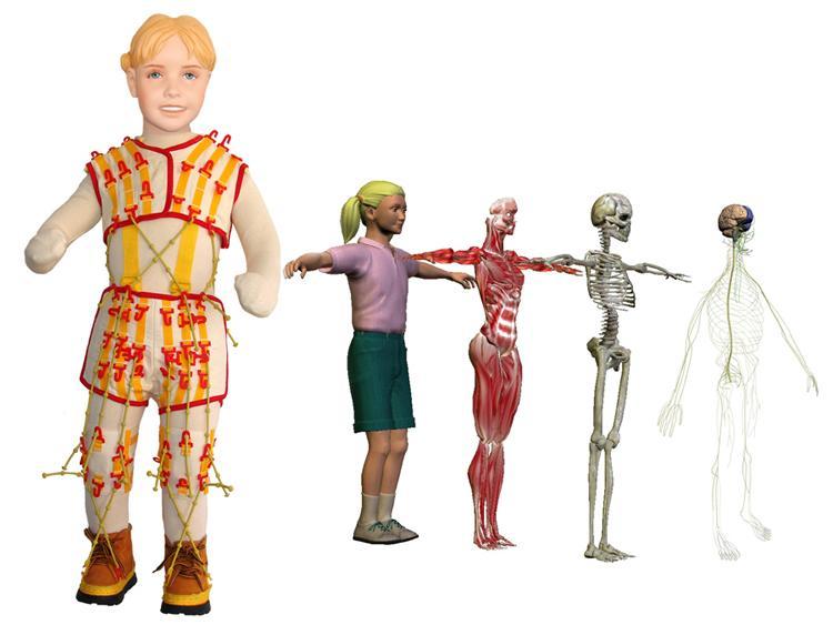 Příloha IV: