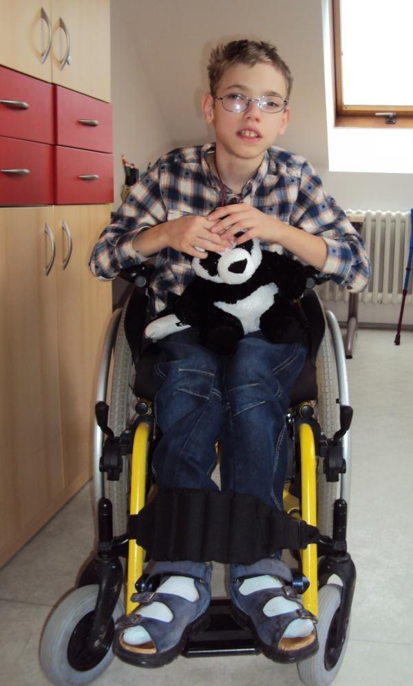 Příloha XI: