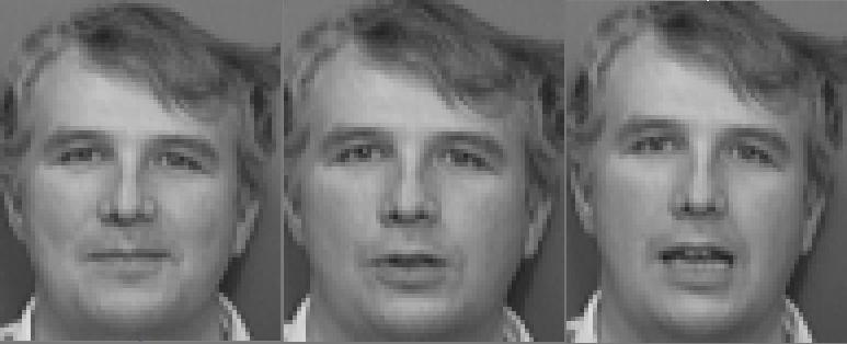 tedy nasvícení, vyvážení bílé apod. Dobré je také před zpracováním z obrazů odstranit šum. Tyto podmínky je dobré dodržet jak pro databázi vzorů, tak i pro vstupní obraz (např.