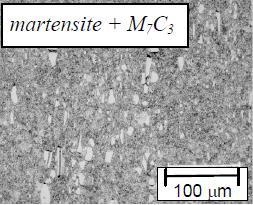 podle chemického složení oceli. Pak jsou původní stav mikrostruktury a distribuce chemických prvků ovlivněny historií zpracování a podle toho se stanovuje vývoj morfologie mikrostruktury.