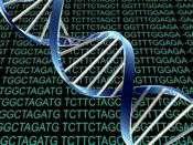 matematicky; Darwinovská selekce opravdu mění frekvence alel v populaci;
