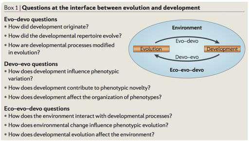 Evolučně-vývojová biologie: evoluce jako evolving systems of development Evolučně-vývojová biologie (evo-devo) zkoumá