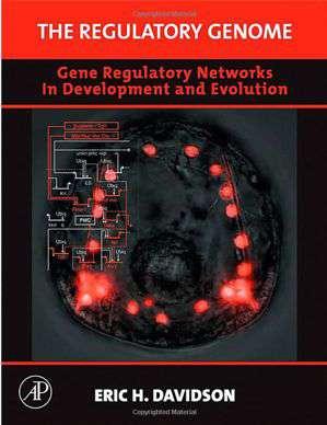GRN, gene