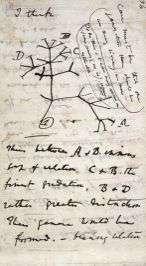 1859: Důkazy evoluce? Embryologie! "Embryology is to me by far the strongest single class of facts in favor of change of forms.