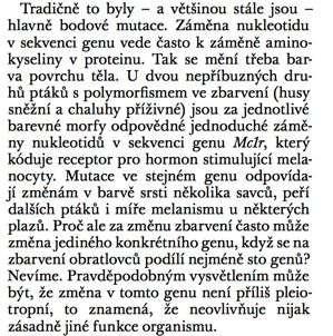 Modularita, ontogenetická paměť a hlubinná homologie