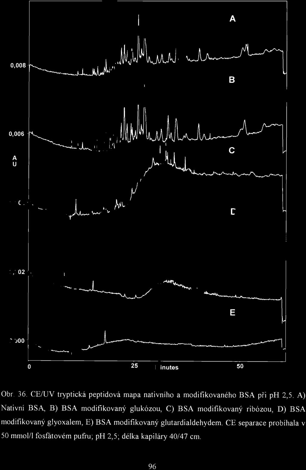 A E 0,000. o 25 Minutes 50 Obr. 36. CE/UV tryptická peptidová mapa nativního a modifikovaného BSA při ph 2,5.