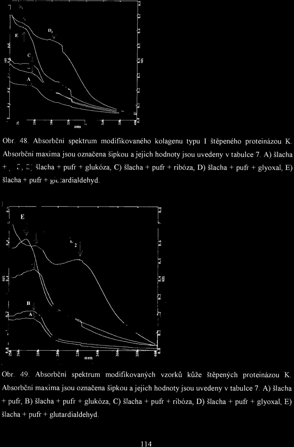 um Obr. 48. AbsorbčnÍ spektrum modifikovaného kolagenu typu I štěpeného proteinázou K. AbsorbčnÍ maxima jsou označena šipkou a jejich hodnoty jsou uvedeny v tabulce 7.