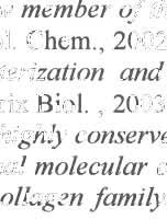 24. Sato, Ke.a., Type XXVI collagen, a new member olthe collagenlami/y, is specijically expressed in the testis and ovary. l Biol. Chem., 2002. 277: p. 37678-37684. 25. Pace, lm.e.a., Jdentijication, characterization and expression analysis ol a new jibrillar collagengene, COL27AJ.