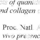 , Discordant effects oj quanidines on real structure andjunction and on regional vascular dysjunction and col/agen changes in diabetic rats. Diabetes, 1997. 46(1 ): p. 94-106. 13 6. Pongor, S., et al.