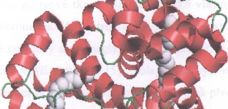 albumin
