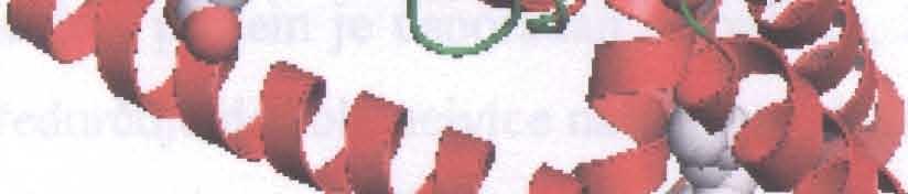 [4]). 19