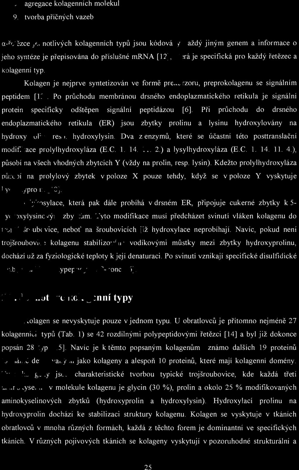 8. agregace kolagenních molekul 9.