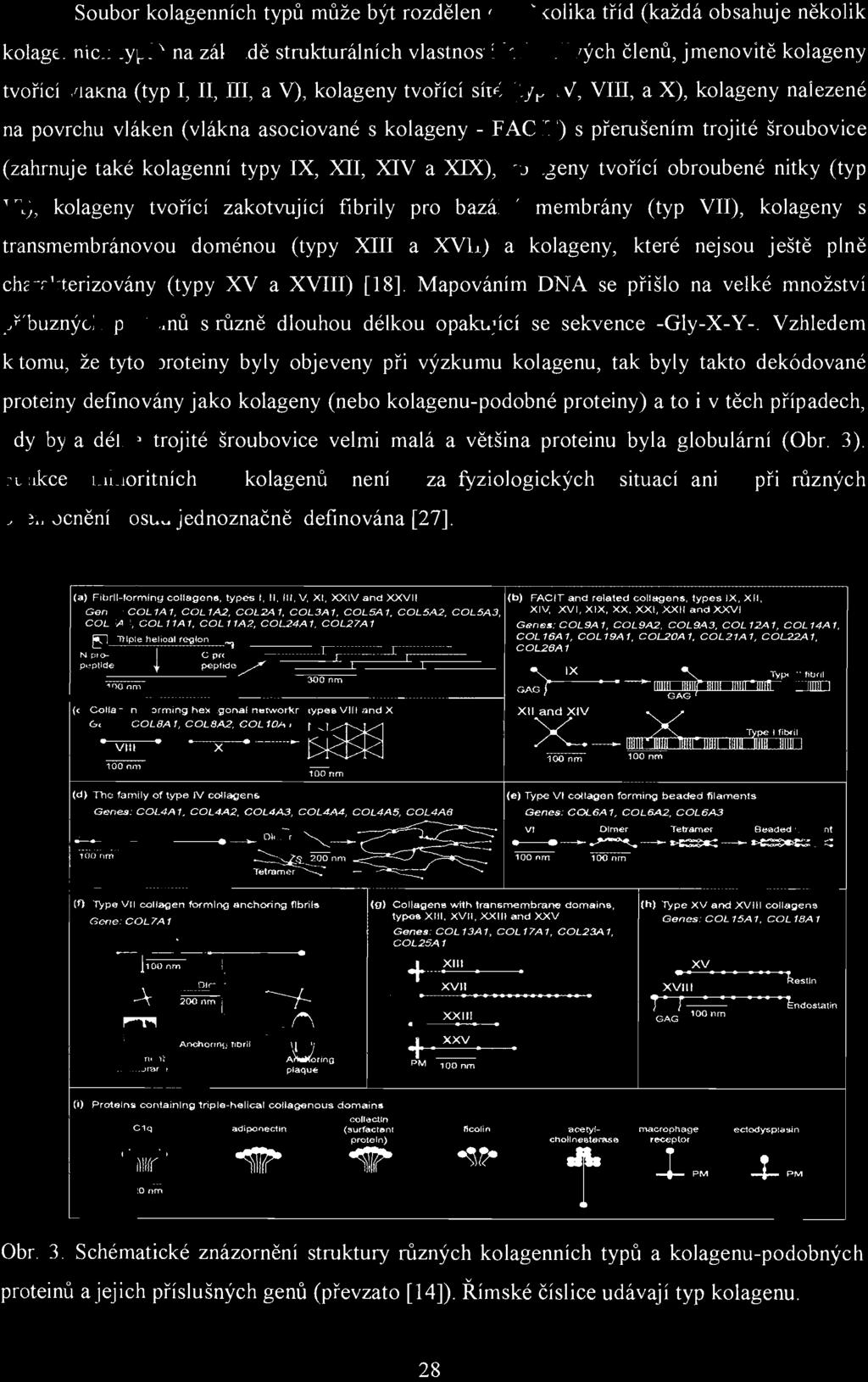 Vzhledem k tomu, že tyto proteiny byly objeveny při výzkumu kolagenu, tak byly takto dekódované proteiny definovány jako kolageny (nebo kolagenu-podobné proteiny) a to i v těch případech, kdy byla