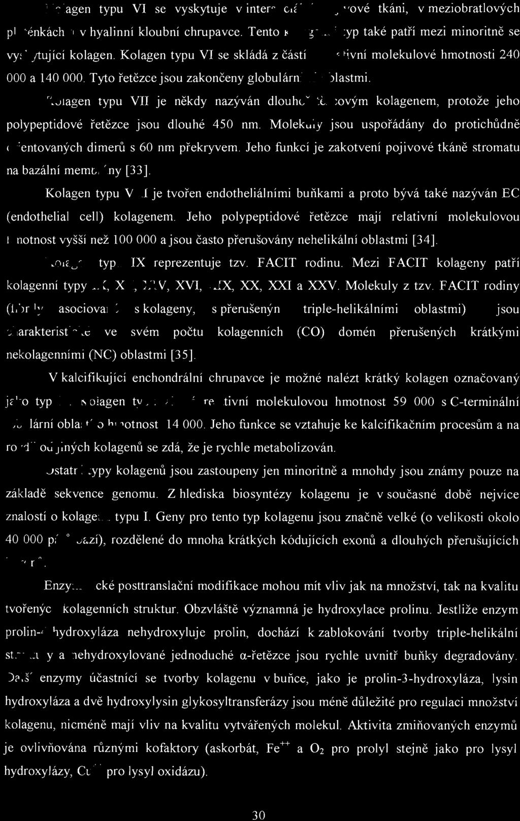 Kolagen typu VII je někdy nazýván dlouh ořetězcovým kolagenem, protože jeho polypeptidové řetězce jsou dlouhé 450 nm. Molekuly jsou uspořádány do protichůdně orientovaných dimerů s 60 nm překryvem.