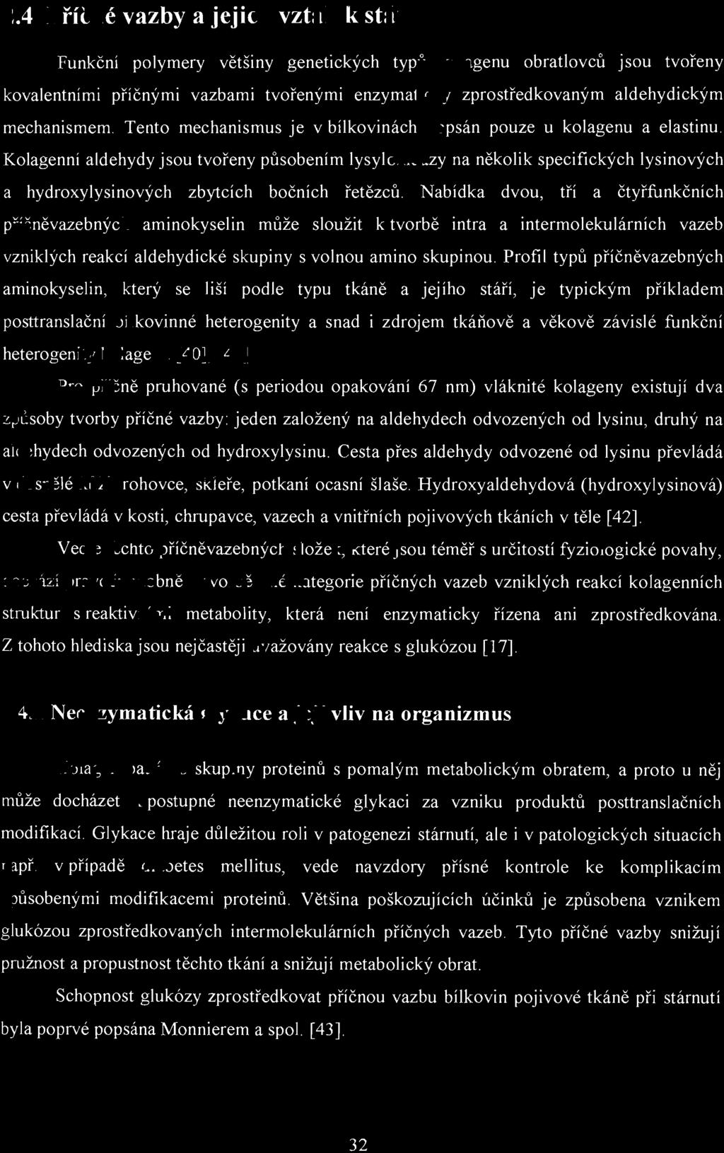 2.4 P říč n é vazby a jejich vztah k stárnutí Funkční polymery většiny genetických typ ů kolagenu obratlovců JSou tvořeny kovalentními příčnými vazbami tvořenými enzymaticky zprostředkovaným