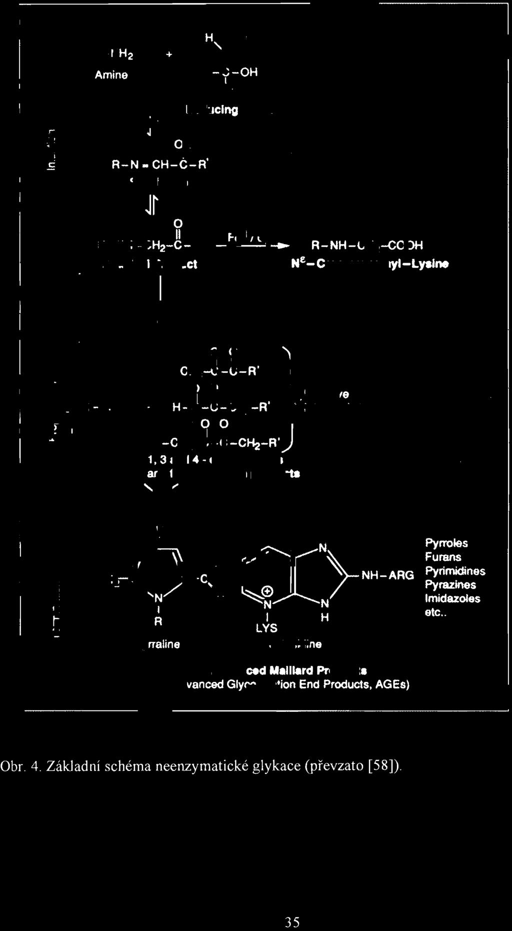c:.2 ) E R- NH2 Amine Jr + H'r;#P OH I R-N. CH-C-R Schltf Base Jr I H- C-OH ~. Reduclng Sugar O II R-NH-CH2-C- R Fell /Og. R-NH-CH -COOH 2 Amadort Product N E _ CII'boxy... thyi-lyajne B ~.