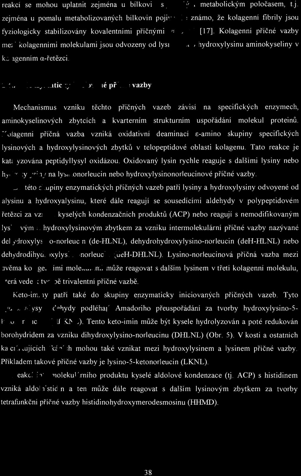 reakcí se mohou uplatnit zejména u bílkovin s pomalým metabolickým poločasem, tj. zejména u pomalu metabolizovaných bílkovin pojiva.