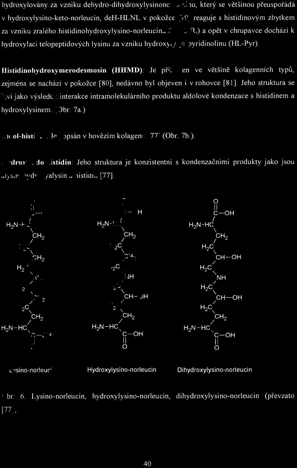 hydroxylovány za vzniku dehydro-dihydroxylysinonorleucinu, který se většinou přeuspořádá v hydroxylysino-keto-norleucin, deh-i-ll.