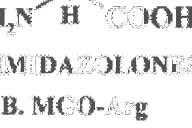 Argininc T\'lodifi~ations O~ CJÍ (;II.l RNyNll ( \ ' A.