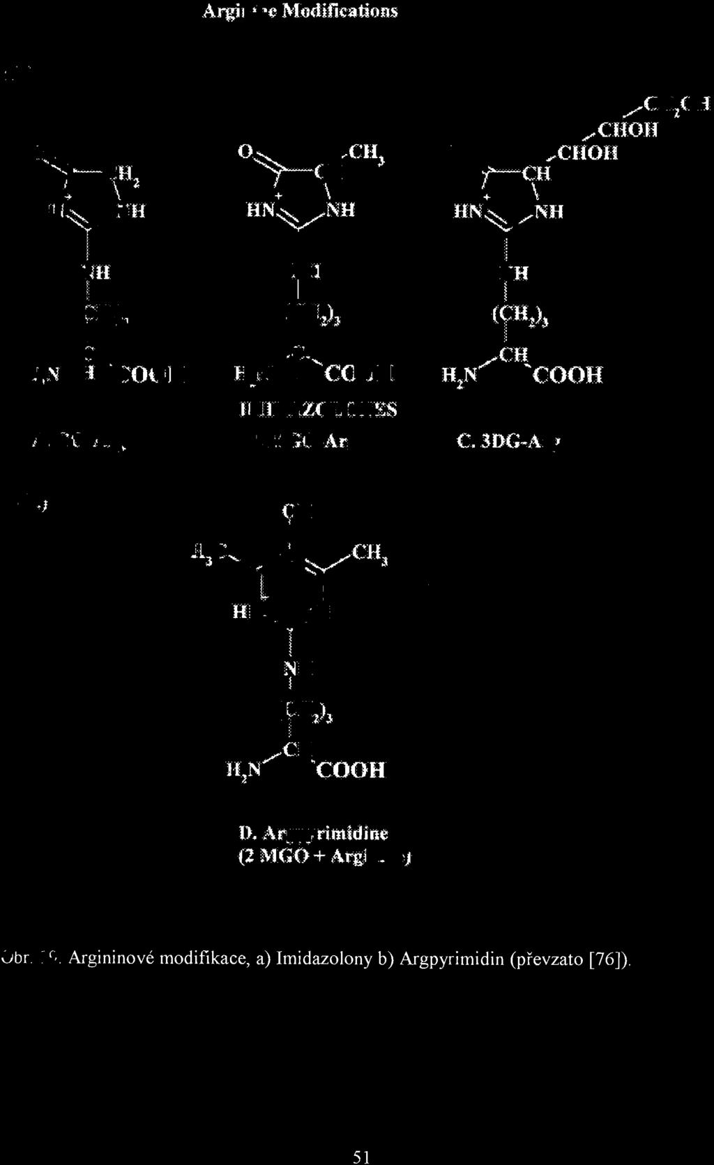 l\>I(;O~A rg 7 H (V~lIi)j ~j, C.,3DG-Arg (a) n e J ll.